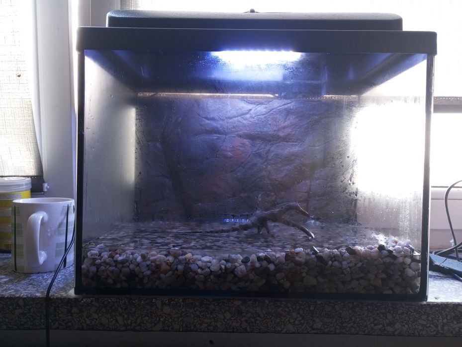 Akwarium około 30l