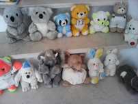 Peluches vários animais e boneco Nody no carro