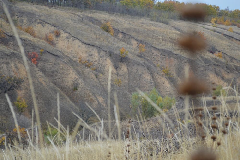 Сдам в аренду подобово альтанку
