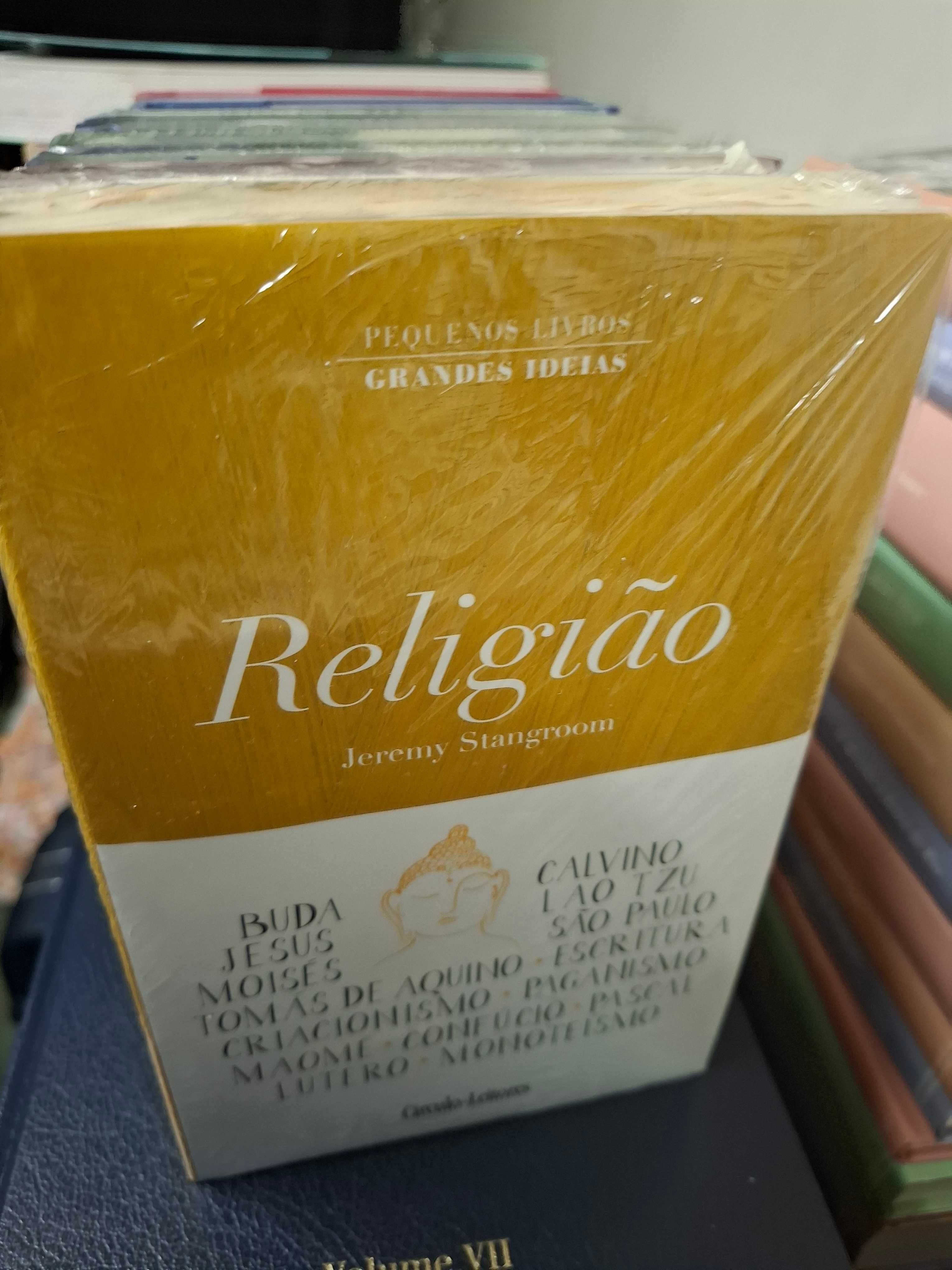 Coleção completa - Pequenos Livros Grandes Ideias