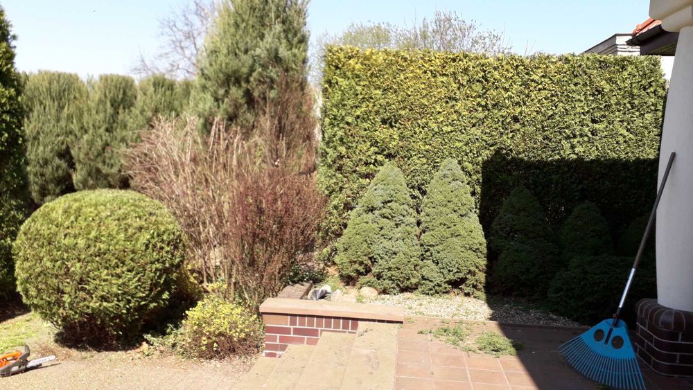 cięcie żywopłotów Formowanie krzewów ozdobnych pielęgnacja ogrodu