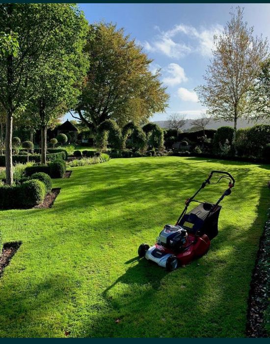 Обрезка деревьев, хвойных,винограда. Услуги садовника