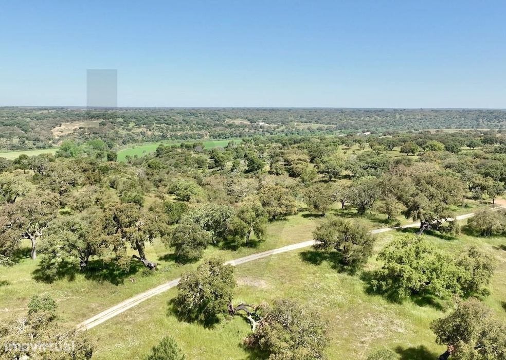 Refúgio Ideal no Alentejo: Investimento único com Potencial Agrícola e