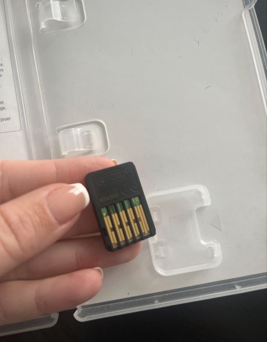 Spirit- A grande aventura de Lucky para nintendo switch