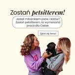 Opieka nad psem i kotem. Petsitter,opiekun zwierząt