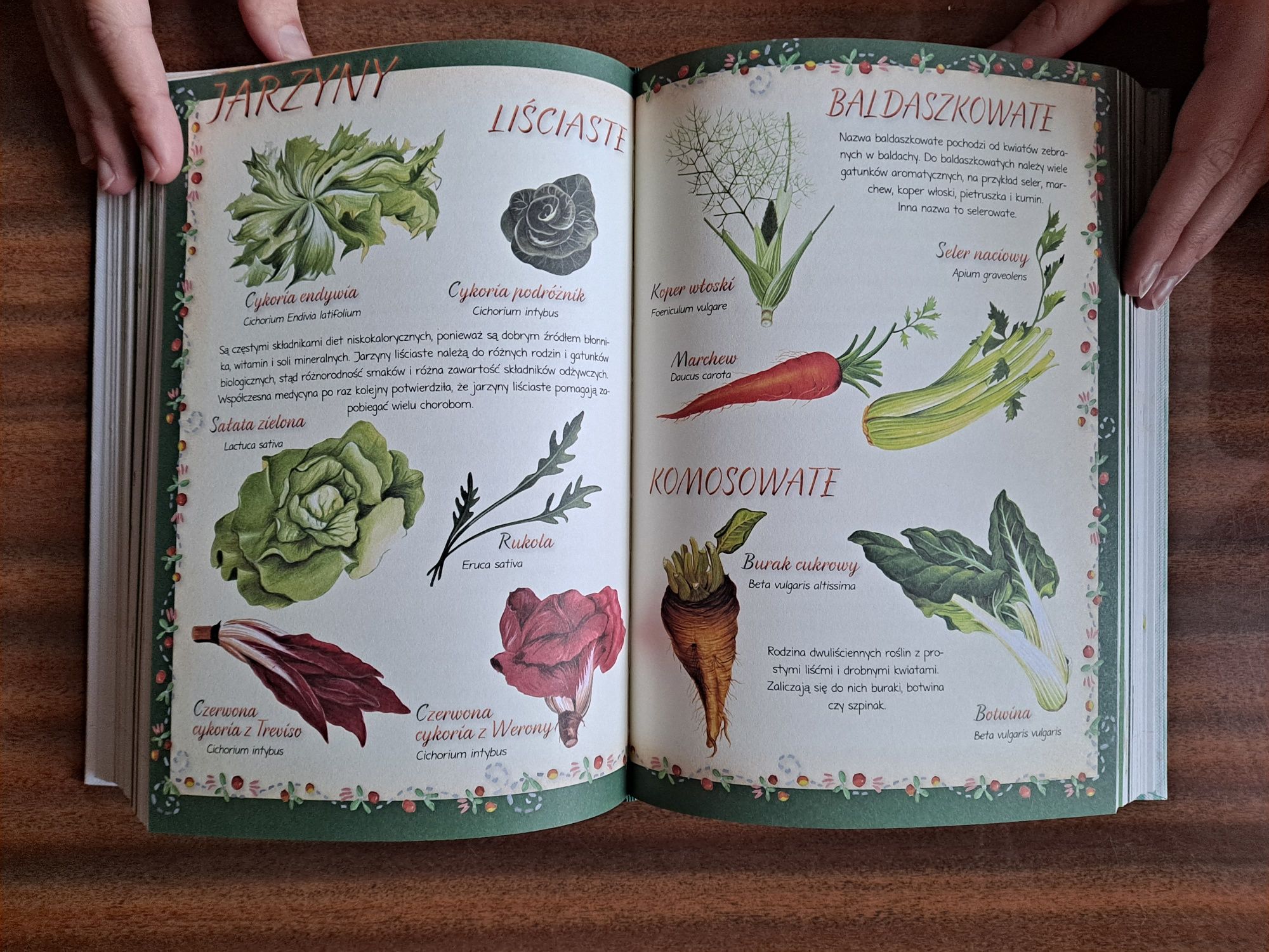 Zielony garnek 600 przepisów kuchni wegetariańskiej prosto z włoch