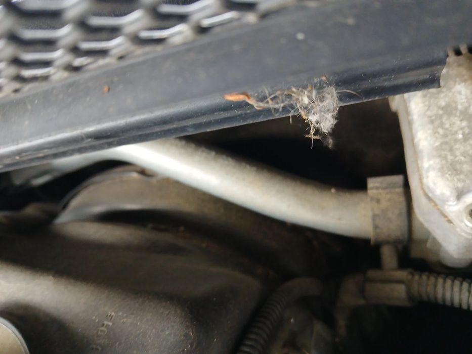 Servofreio AUDI A4 Avant (8K5, B8)