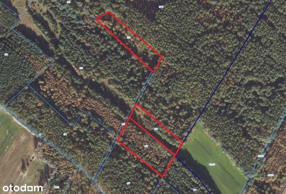 Działki w sercu natury - Gmina Kobyla Góra