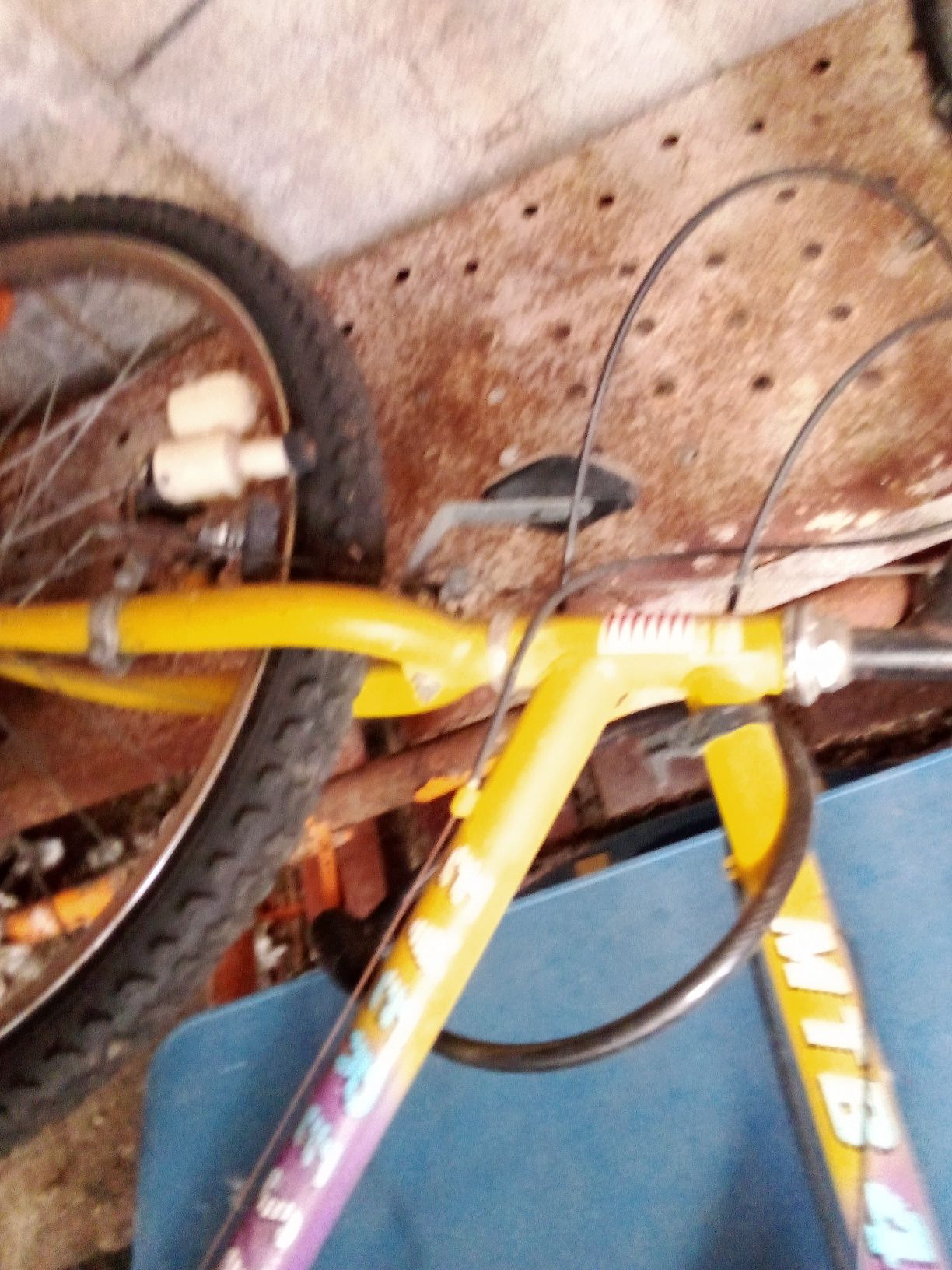 Bicicleta de adulto
