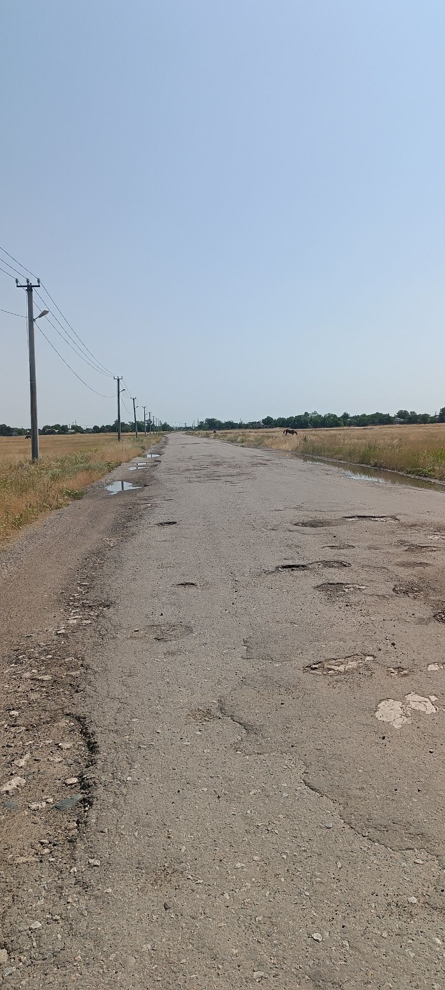 Отдам владельцу в руки