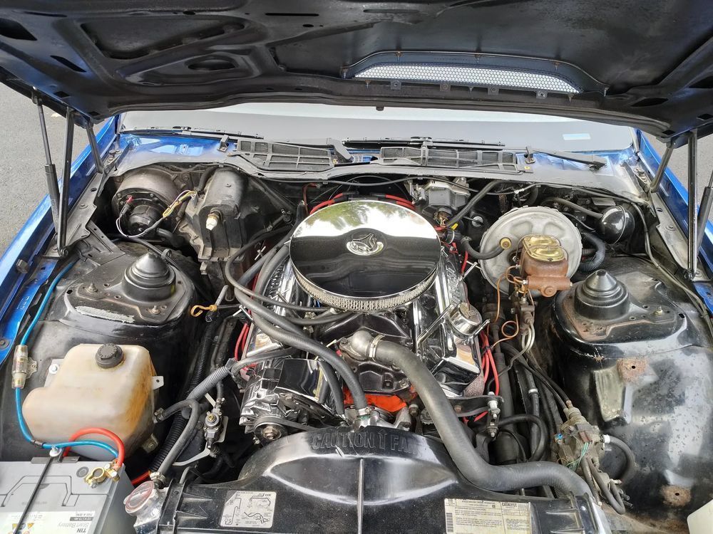 Pontiac Firebird Pontiac TRANS AM 5,0l V8 Targa