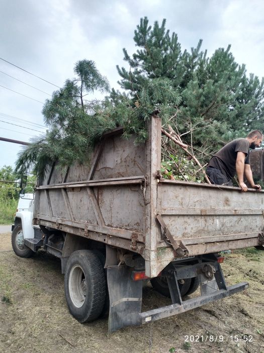 Корчевка пней, деревьев ,Культивация Земли,вспашка,Уборка територии