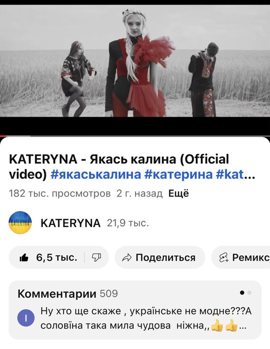 Співачка, Жива музика, DJ на свято