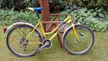 Rower jaguar damka
