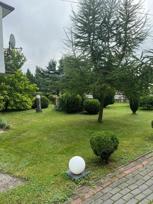 Dom dąbrowa zielona