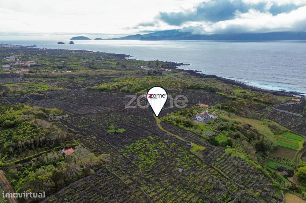 Terreno Rústico com Vinha nos Toledos, Madalena, Ilha do Pico
