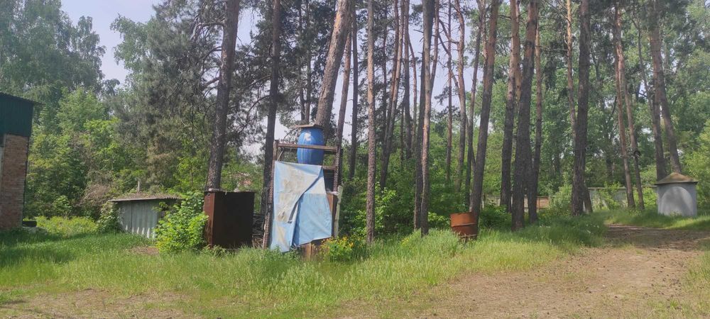 Продажа производственных помещений 800 м2 на Залютинской, 8