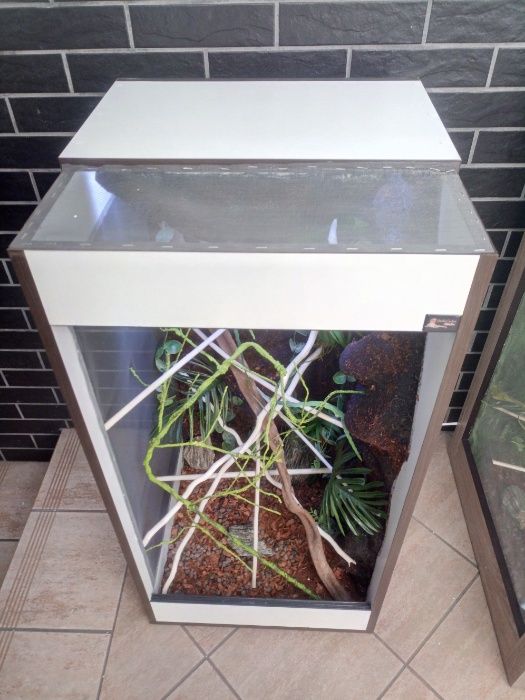 Terrarium tropikalne nr43 dla kameleona 50/50/100 - NA ZAMÓWIENIE