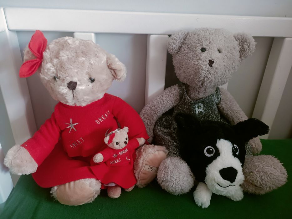 Tosia i Misia misie z TVN + gratis