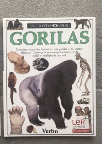 Livro infantil da Enciclopédia Visual sobre gorilas