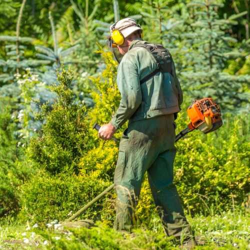 Limpeza de Terrenos Agrícolas