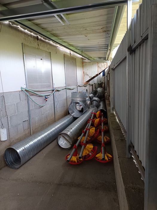 Vendo maquina de pellets industrial