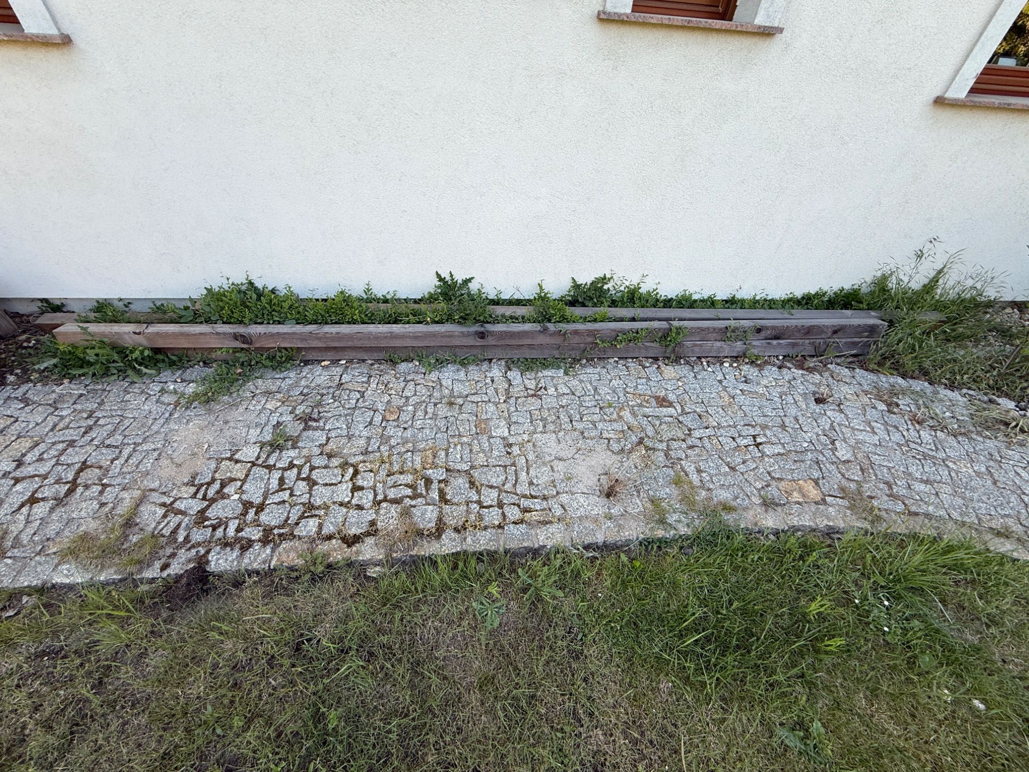Legar Modrzew syberyjski  85x85 4,00m - 50 zł ( 5 sztuk)