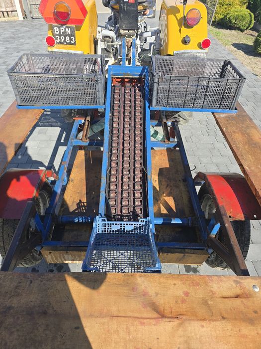 Sadzarka,kombajn, łuskarka  do czosnku i