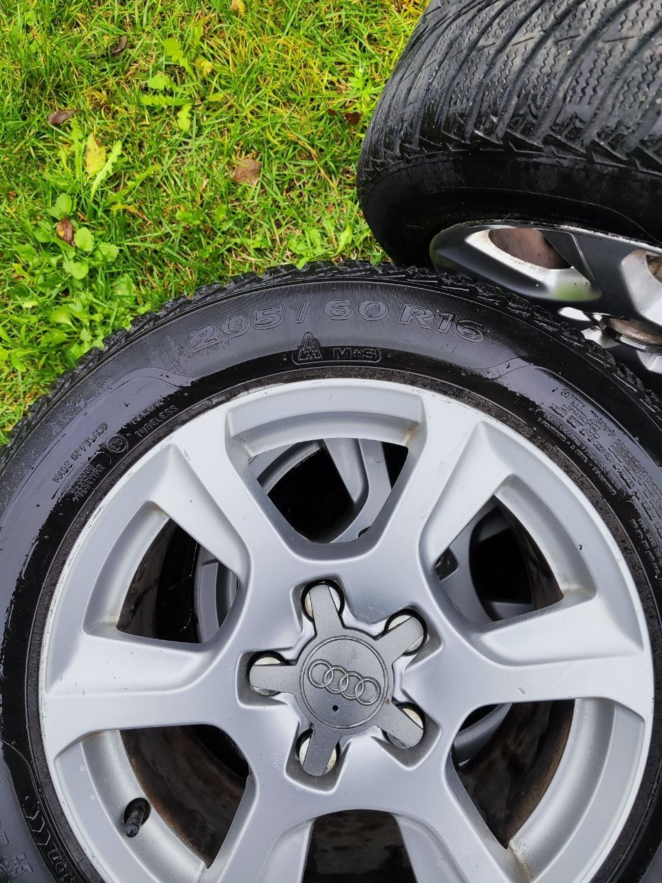 Титани VAG з резиною Sava Eskimo Ice r16, 205/60