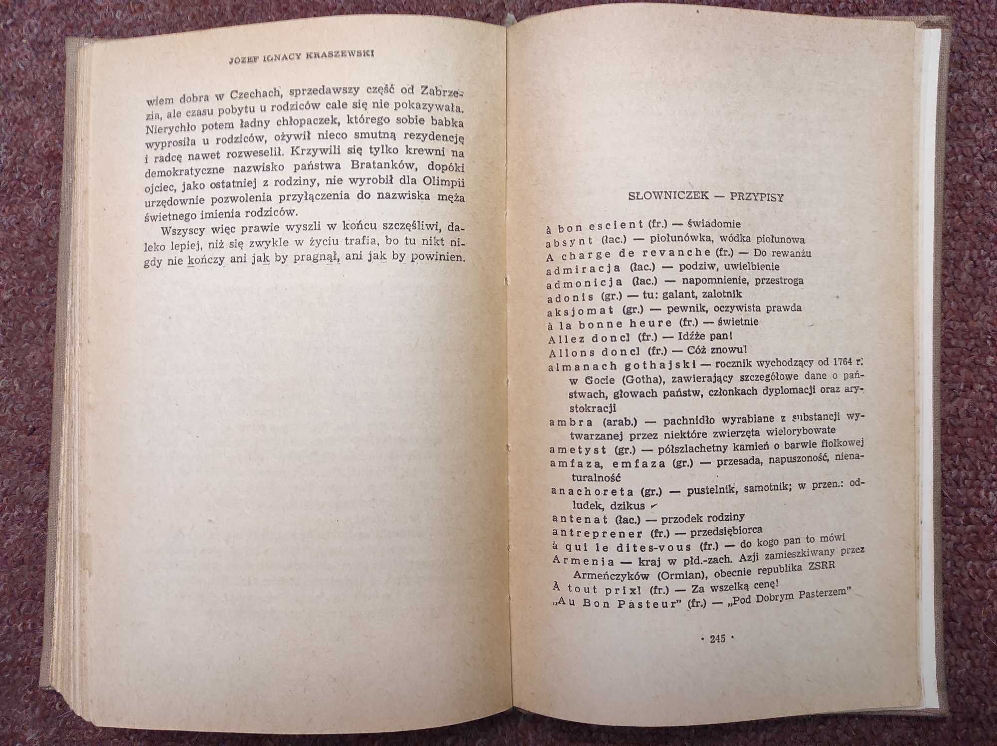 Serce i Ręka, J. I. Kraszewski, Powieść Prawie historyczna 1972