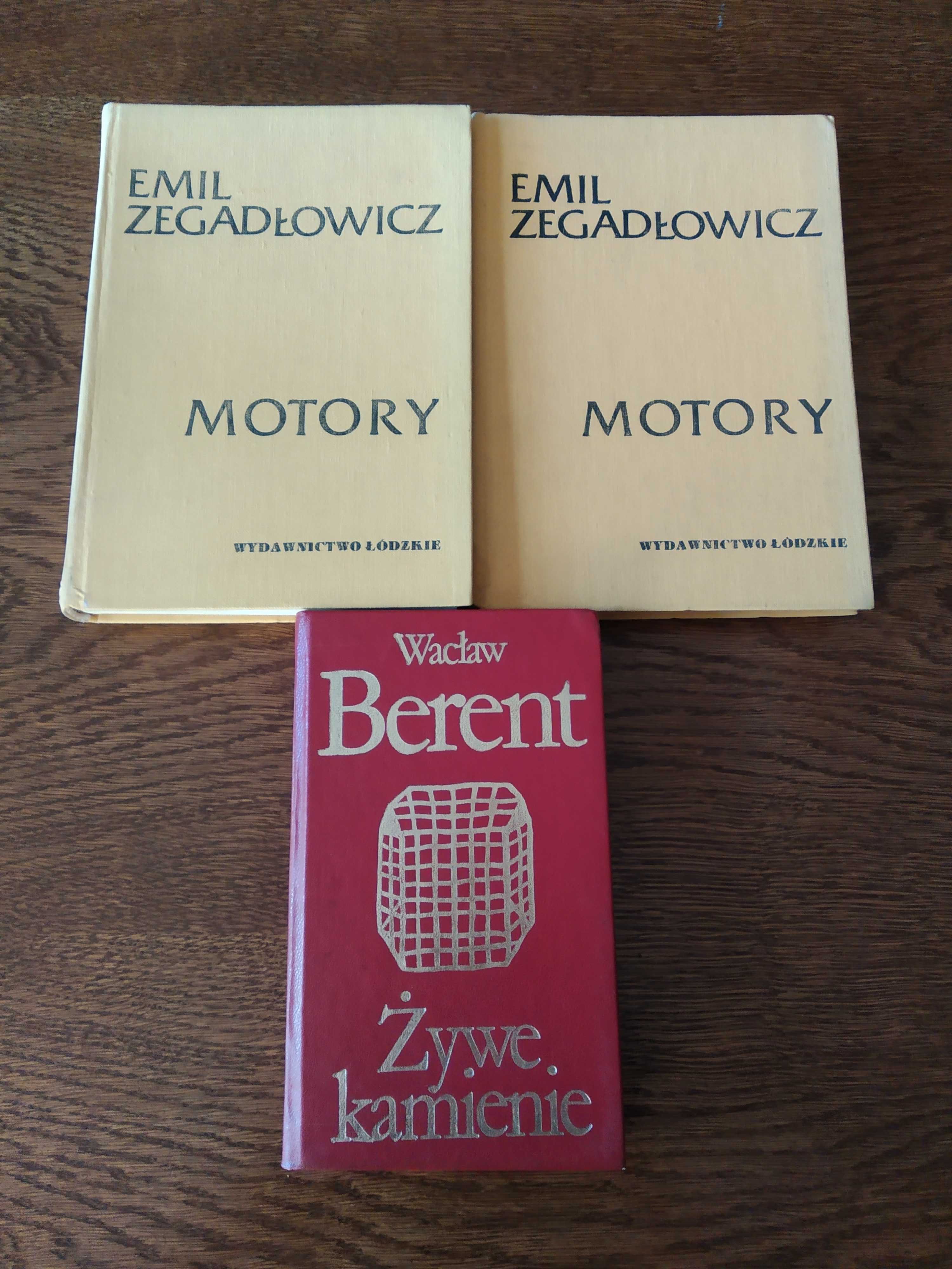 Polska klasyka literatury - Zegadłowicz, Berent
