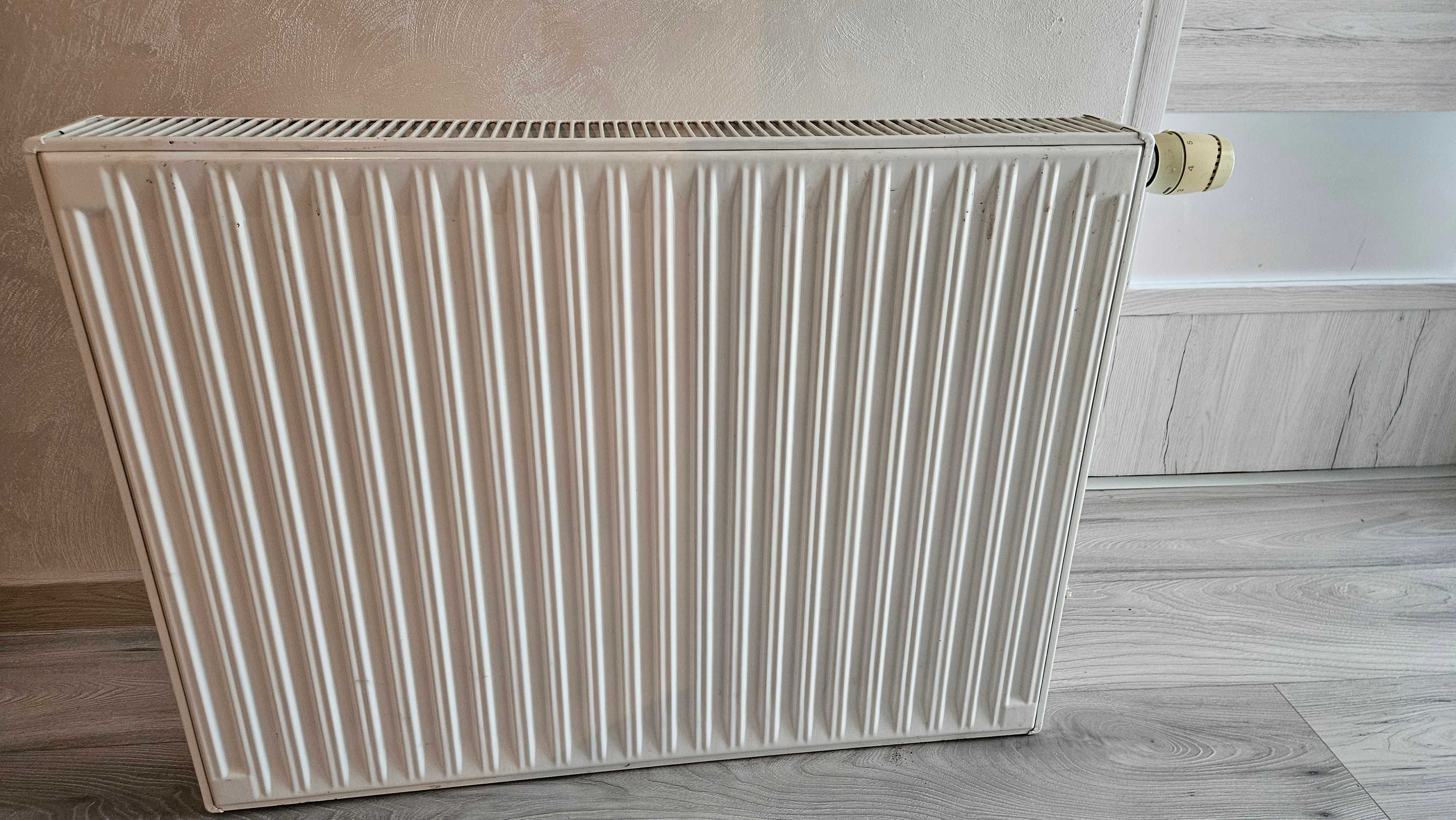 grzejnik Delonghi 800 x600