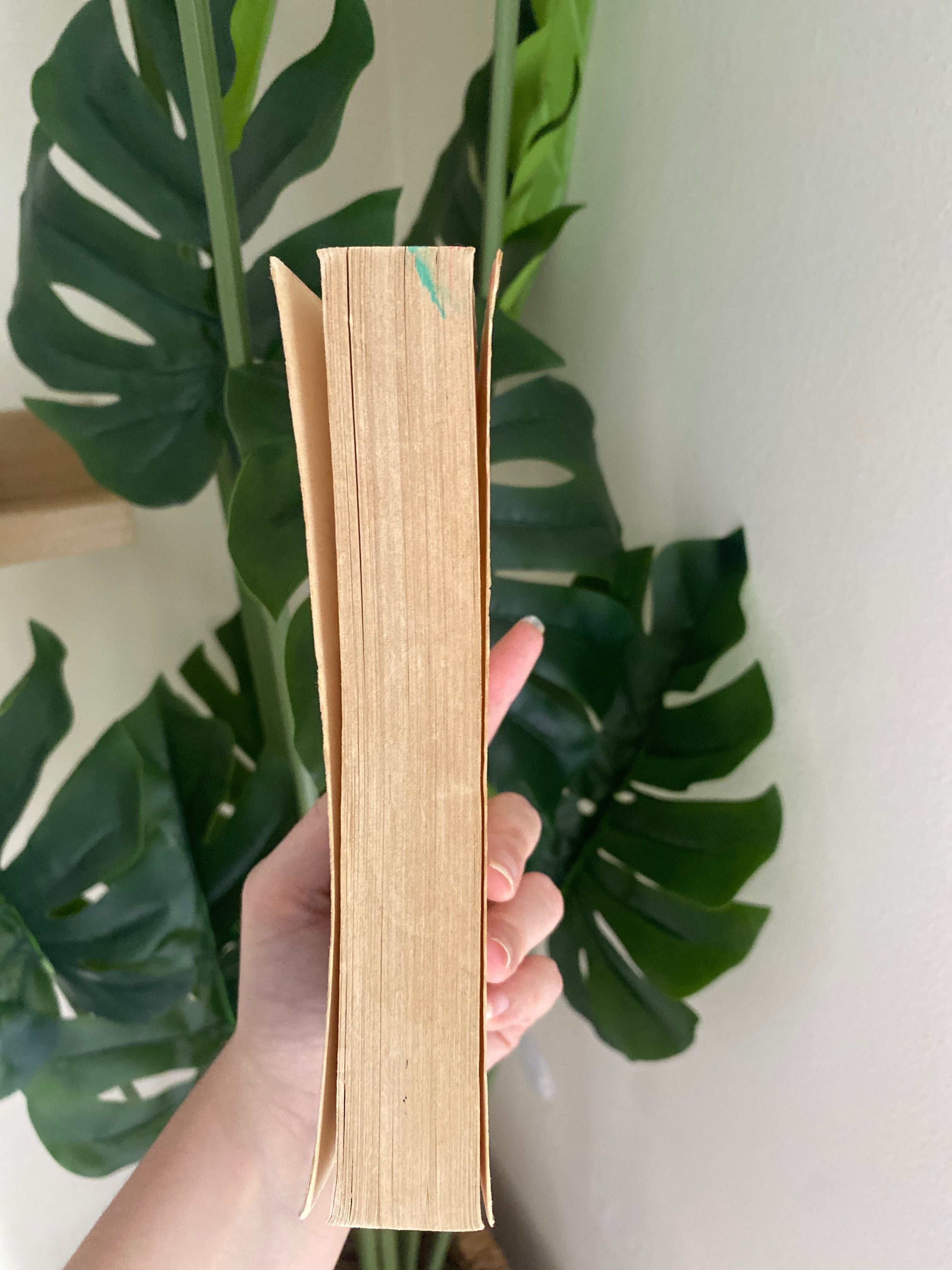 Livro em francês William Shakespeare