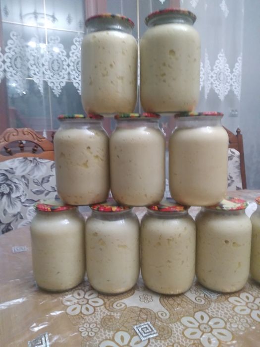 Продам овечу бриндзу