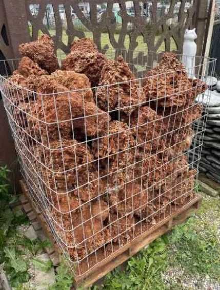 Koralowiec Red Spaghetti Kamień Naturalny do Akwarium Terrarium Skała