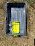 Klatka  dla gryzonii krolik chomik70x40x32