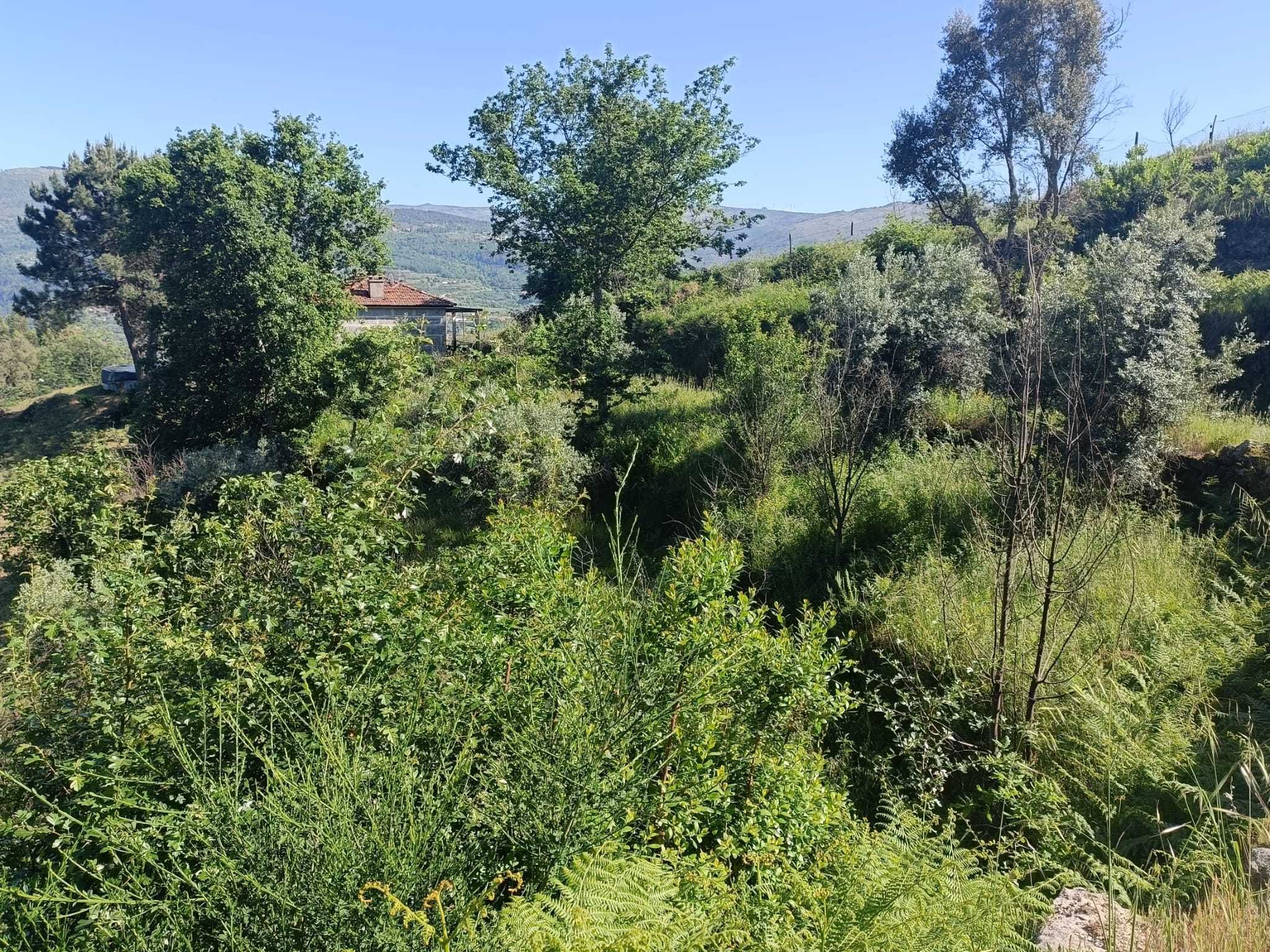 Vende-se terreno rústico com vista rio Douro