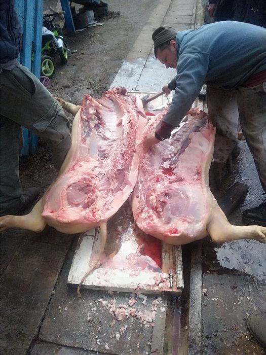 Свині тушками четвертинами