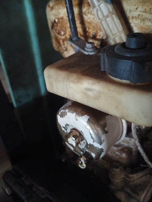 Silnik  zaburtowy Agua Italia