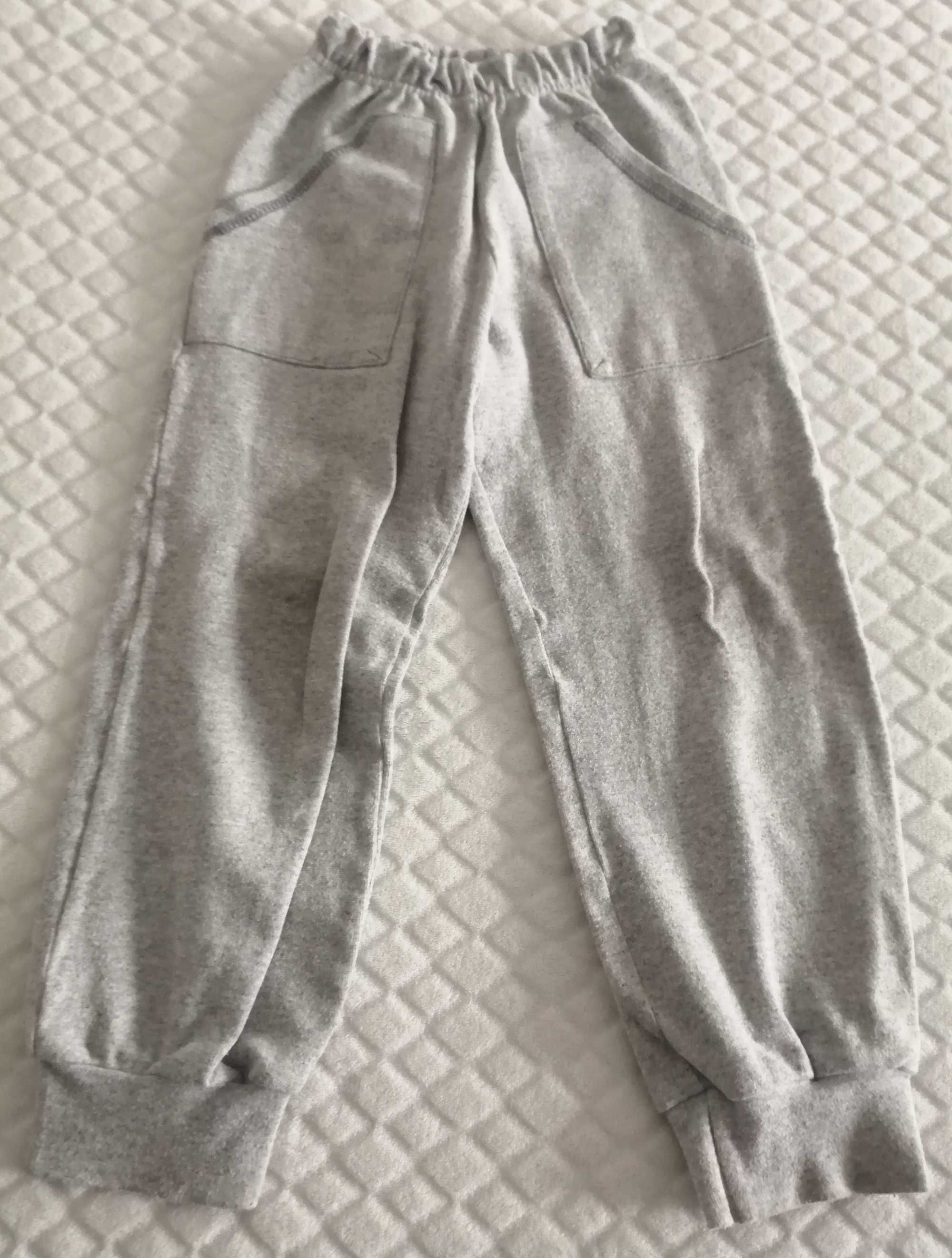 Spodnie dresowe, chłopięce, szare, 116 (Odzież)
