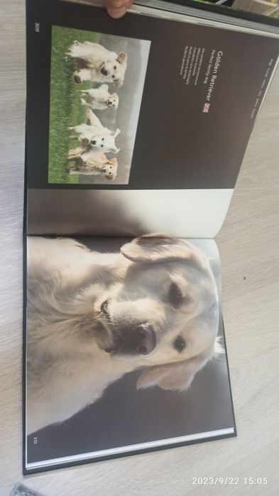 2 x Album Ras Psów dla weterynarza prezent