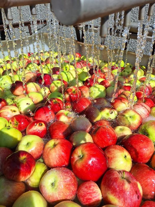 Сік яблучний натуральний Куликів Львів