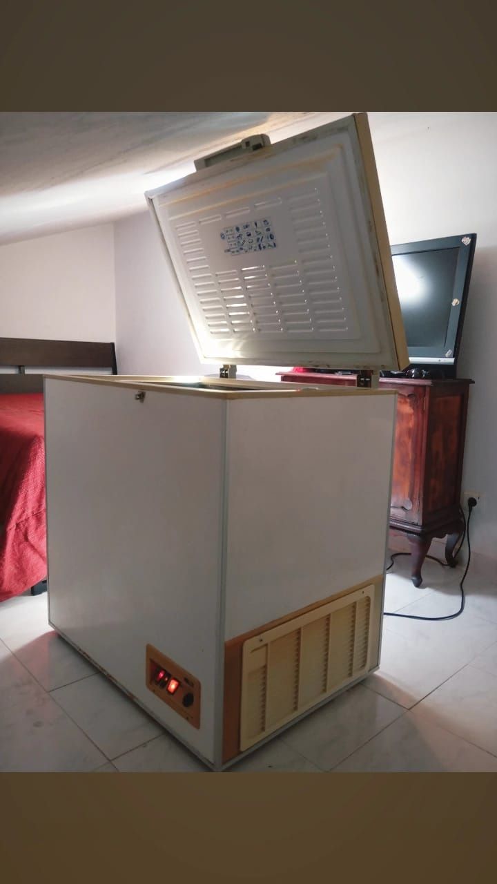 Feezer congelador horizontal 230L

Feezer congelador horizontal 230L