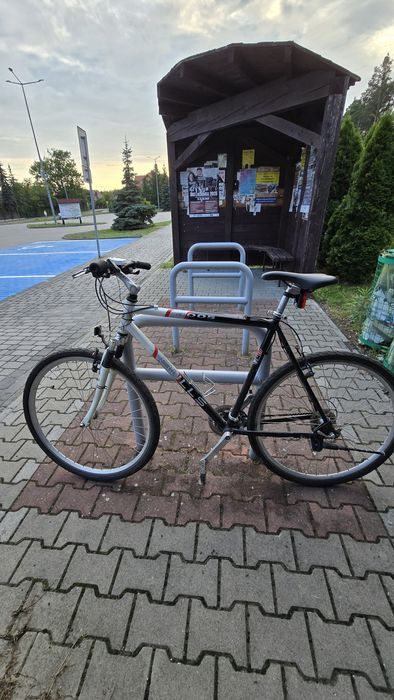 Rower crossowy BULLS 29"