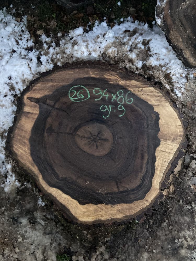Plastry orzech włoski 100cm / stoliki / żywica epoksydowa / drewno