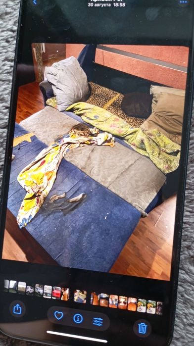 ‼️Клінінг ВЫВОЗ ХЛАМА Устранение Запаха Трупа Дезинфекция Уборка