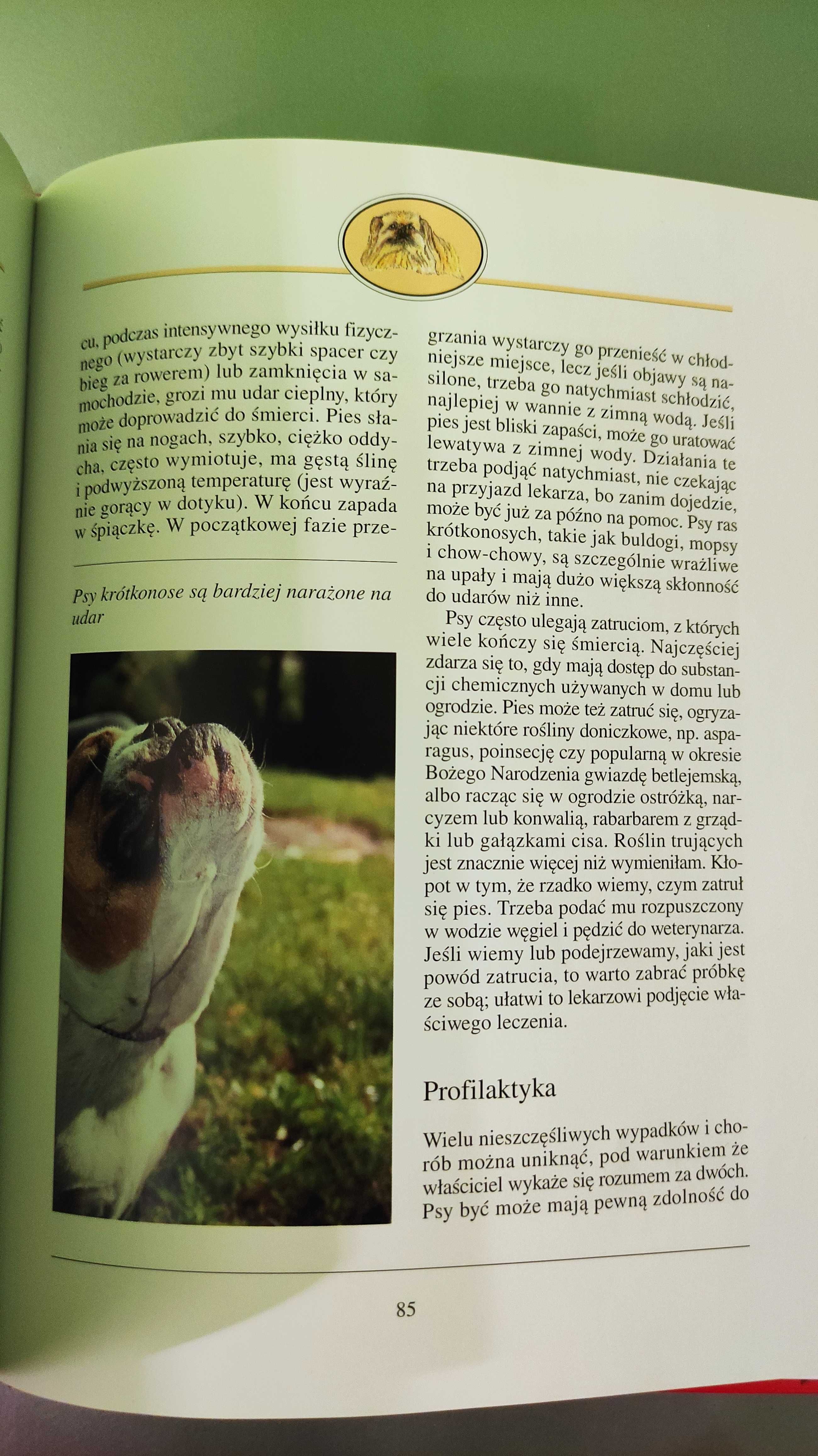 Pod jednym dachem z psem Anna Redlicka poradnik o psach czworonogi