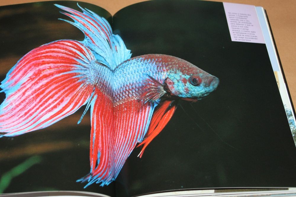 Supernatural - Os Poderes Ocultos dos Animais