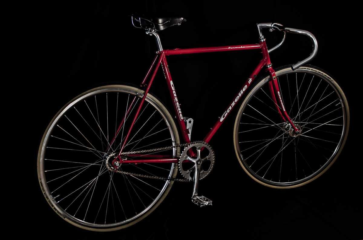 Bicicleta holandesa vintage Gazelle Reynolds 525 + Campagnolo