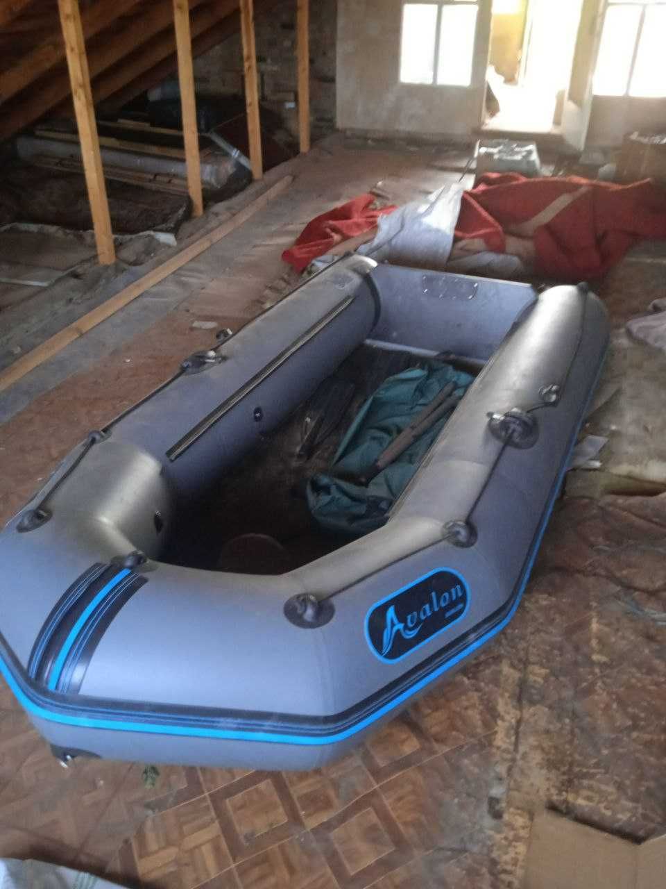 Лодка Avalon 310